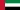 UAE flag
