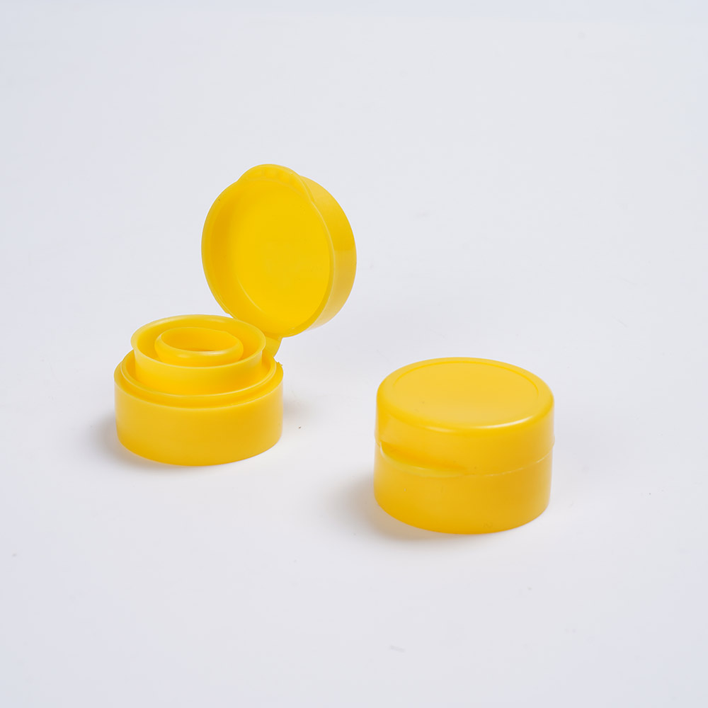 Flip top cap sample 20